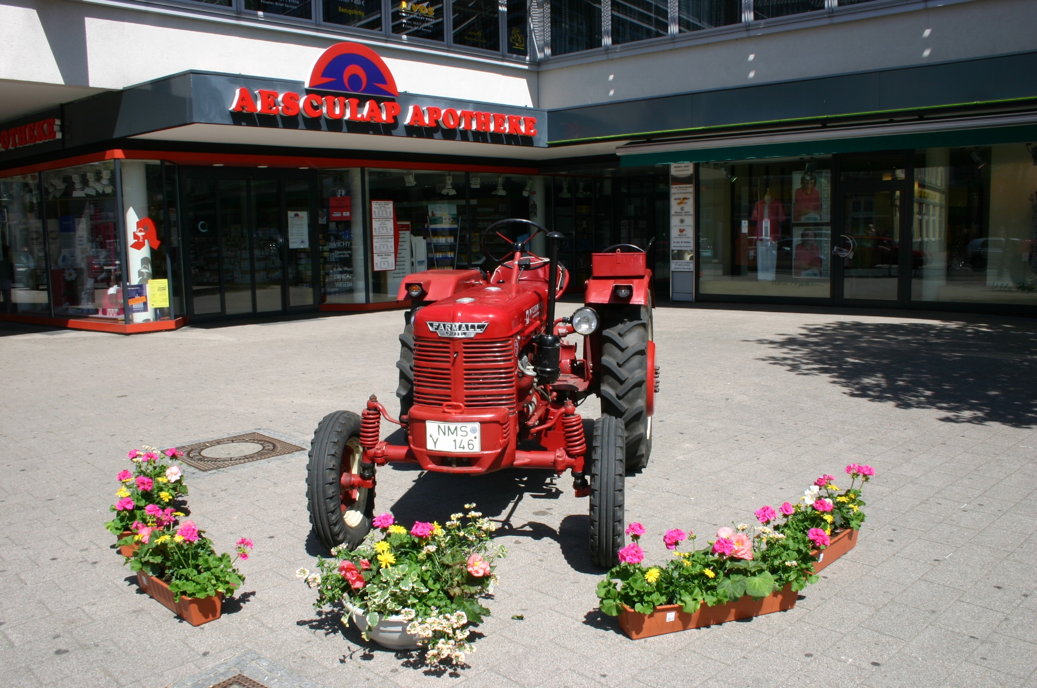 Geranienmarkt Neumünster 2004 – Für Blumen-, Pflanzen- und Gartenfreunde